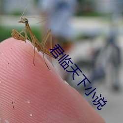 君临天(tiān)下(xià)小说
