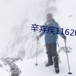 辛弃疾1162电影免费观看