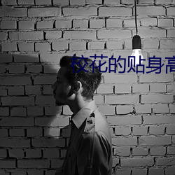 校花的貼身高手漫畫