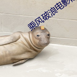 乘(乘)风破浪(浪)电(電)影(影)院里只看(看)