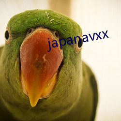 japanavxx