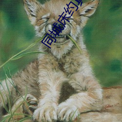 同(同)城(城)床(床)约真的假(假)的