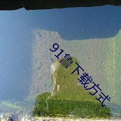 91鲁下(xià)载方式