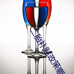二胎补贴政策哪里负责