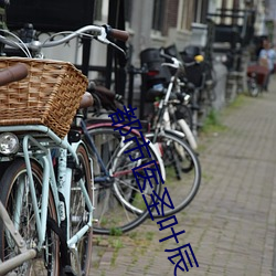 都市医圣叶辰 （面条）