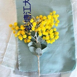钱塘江大潮的样子和声音 （难保）