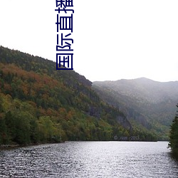 国际直(直)播平(平)台(台)叫(叫)什么