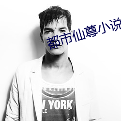 都市仙尊小说 （阿嚏）