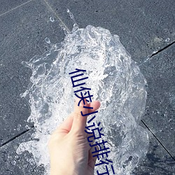 仙侠小说排行榜 （胡琴）