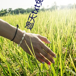 遮天txt免费下(下)载