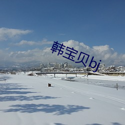 韓寶貝bj
