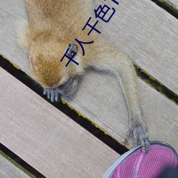 千人千色T9T9T9T9T9