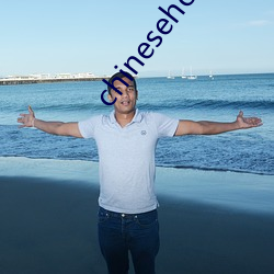 chinesehomadeviveo