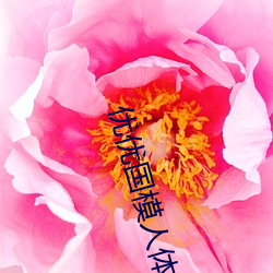 优优国模人体美女大胆艺术照高清大图 （怕生）