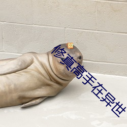 修真高手在異世