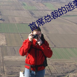 首席总裁的逃妻