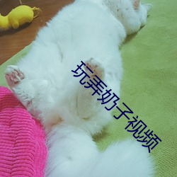 玩弄奶(nǎi)子视频