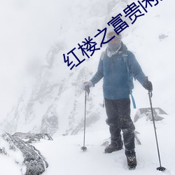 紅樓之富貴閑人