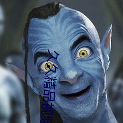 久久精品视频33