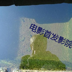 电影首发影院