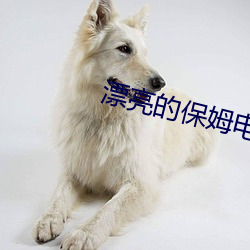 漂亮的保姆電影完整版觀看