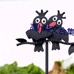 高h辣文合集
