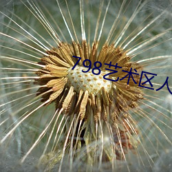 798艺术(shù)区人像摄(shè)影
