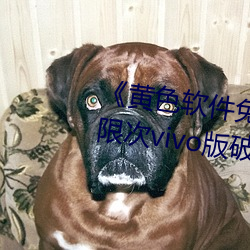 《黄色软件(件)免费下载3.0.3每天(天)无限次vivo版破(破)》高清(清)1080P在