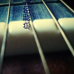 凯时|AG(AsiaGaming)优质运营商