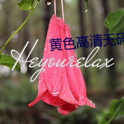 黄色高清无码视频下载