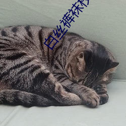 白丝裤袜校服自(zì)慰(wèi)涩涩涩(sè)