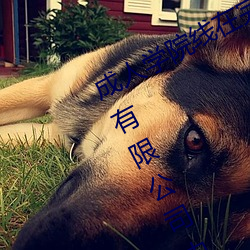 成人(人)学院线(線)在完整视频北京(京)森(森)馥科技有限(限)公司(司)中(中)字(字)