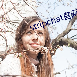 stripchat ׻