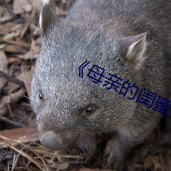 《母亲的闺蜜》中文(wén)
