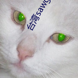 台湾(wān)sawg官网入(rù)口(kǒu)
