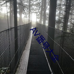 AV番號大全