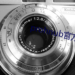 prohnub官方地址