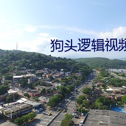 狗(gǒu)头逻辑视(shì)频哪个网站可(kě)以
