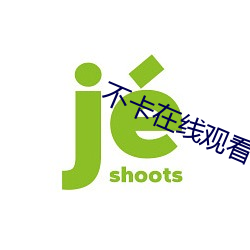 不卡在线观看