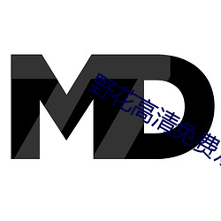 野花高清免费观看完整视频中文版 （如此而已）