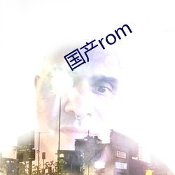 国(國)产rom