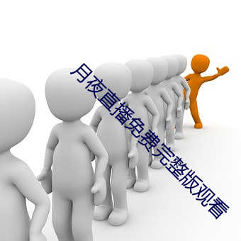 月夜直播免费完整版观看