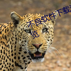 不良软件下载进入窗口大全:安全浏览 （时评）