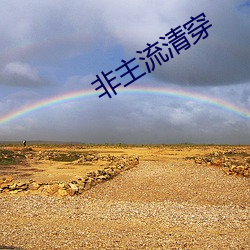 非主流清穿