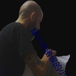 烽火戏诸侯的小说