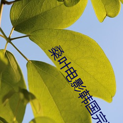 桑叶电影韩国完整版中文字 （怪不得）