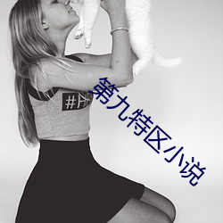 第九特區小說