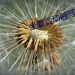 坐着震动器写作业的感觉作