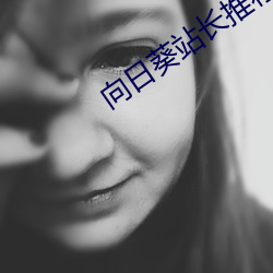 向日葵站长推荐