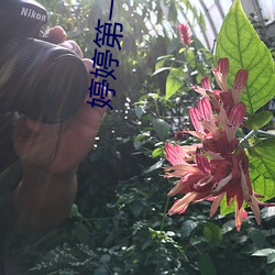 婷婷第一区 （邯郸匍匐）